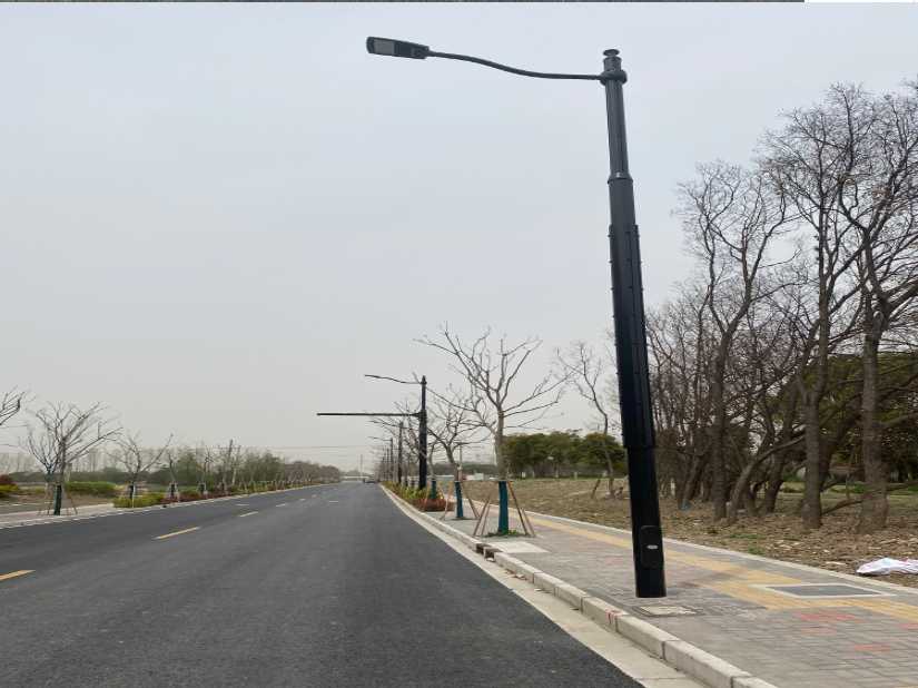 呼玛县上海综合杆 太阳能路灯工程